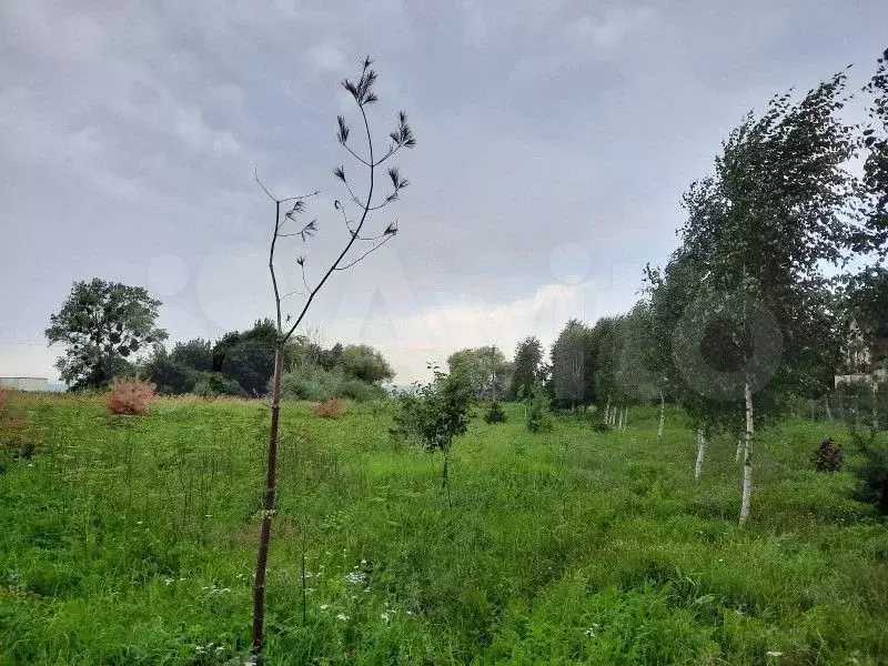 Участок 5,74 га (СНТ, ДНП) - Фото 0