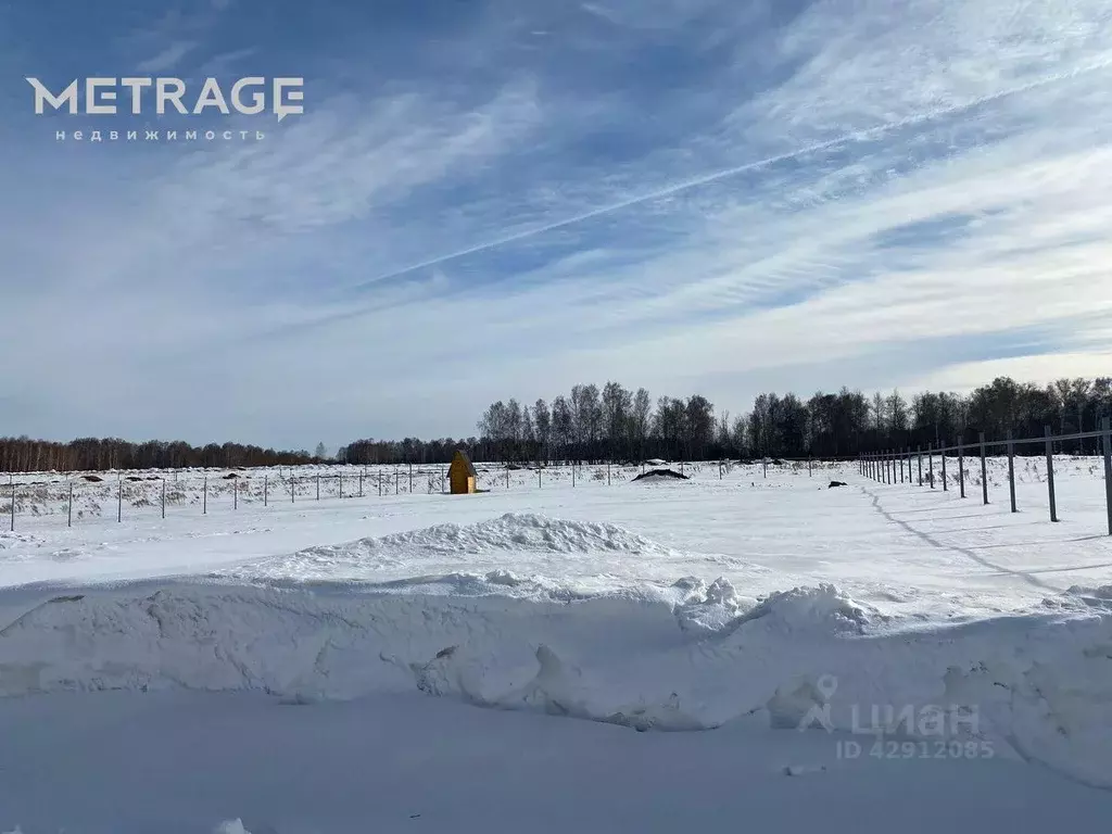 Участок в Новосибирская область, Новосибирск Сибирский авиатор СПК, ... - Фото 1