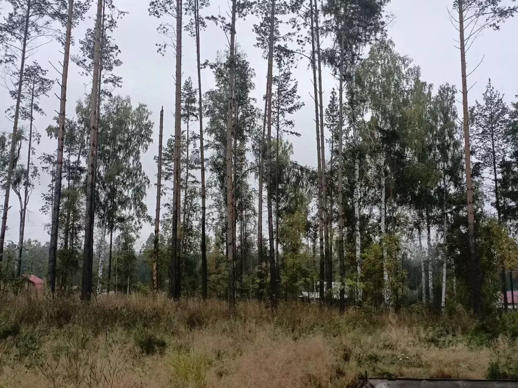 Участок в Свердловская область, Екатеринбург Седьмая Дача кп,  (10.0 ... - Фото 2