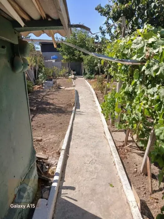 Участок в Крым, Сакский район, Суворовское с/пос, Чайка-С ... - Фото 2