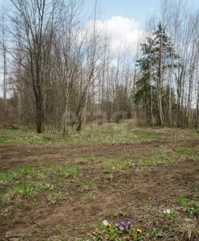 Участок в Ярославская область, Ярославский муниципальный округ, ... - Фото 2