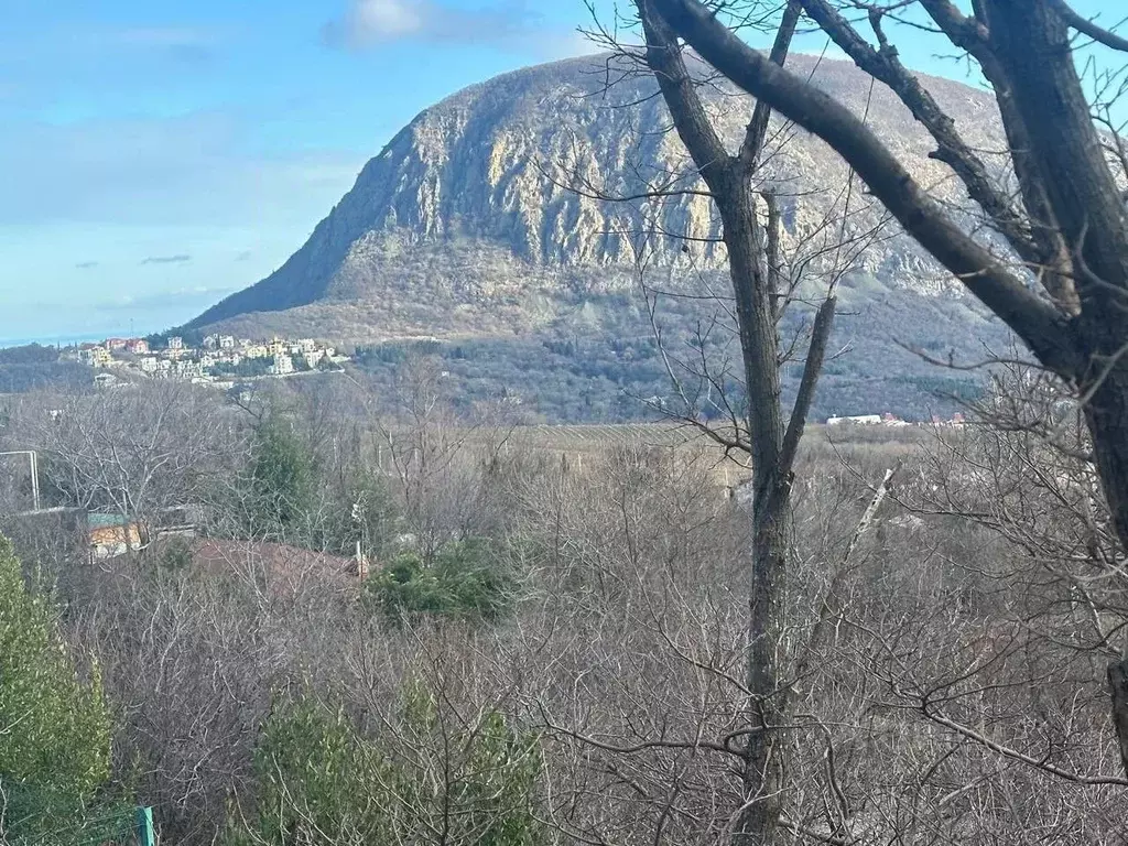 Участок в Крым, Ялта муниципальный округ, Краснокаменка пгт  (20.0 ... - Фото 2