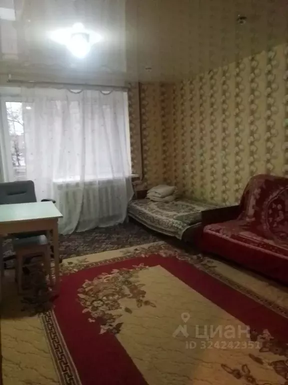 1-к кв. Нижегородская область, Нижний Новгород ул. Глинки, 40 (30.0 м) - Фото 1