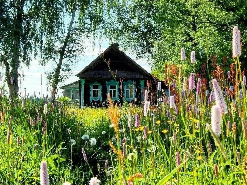 Фото дом в деревне летом