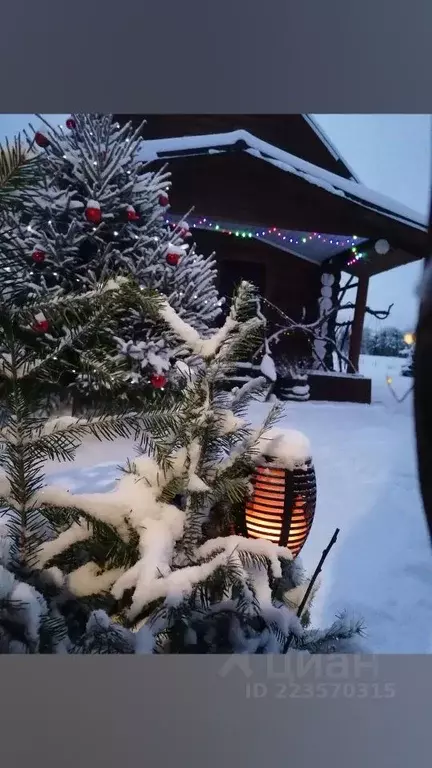 Дом в Свердловская область, Ачитский городской округ, д. Дербушева ул. ... - Фото 1