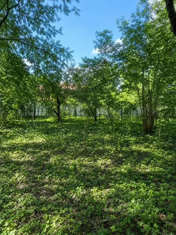 Участок в Московская область, Химки Фирсановка мкр, ул. Серова, 16 ... - Фото 1