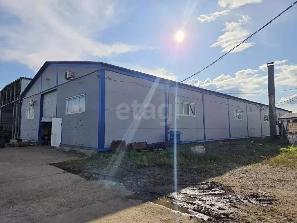 Склад в Московская область, Чехов муниципальный округ, Крюково пгт с5 ... - Фото 1