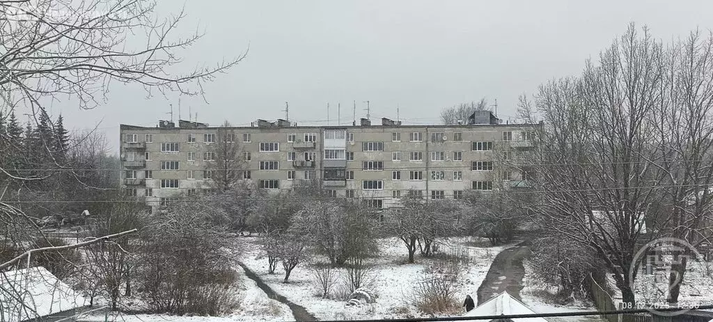 2-комнатная квартира: посёлок Батецкий, Лужская улица, 39 (44 м) - Фото 1