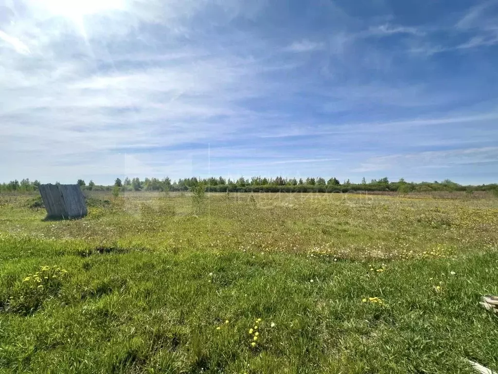 Участок в Тюменская область, Тюменский район, д. Криводанова  (35.0 ... - Фото 1