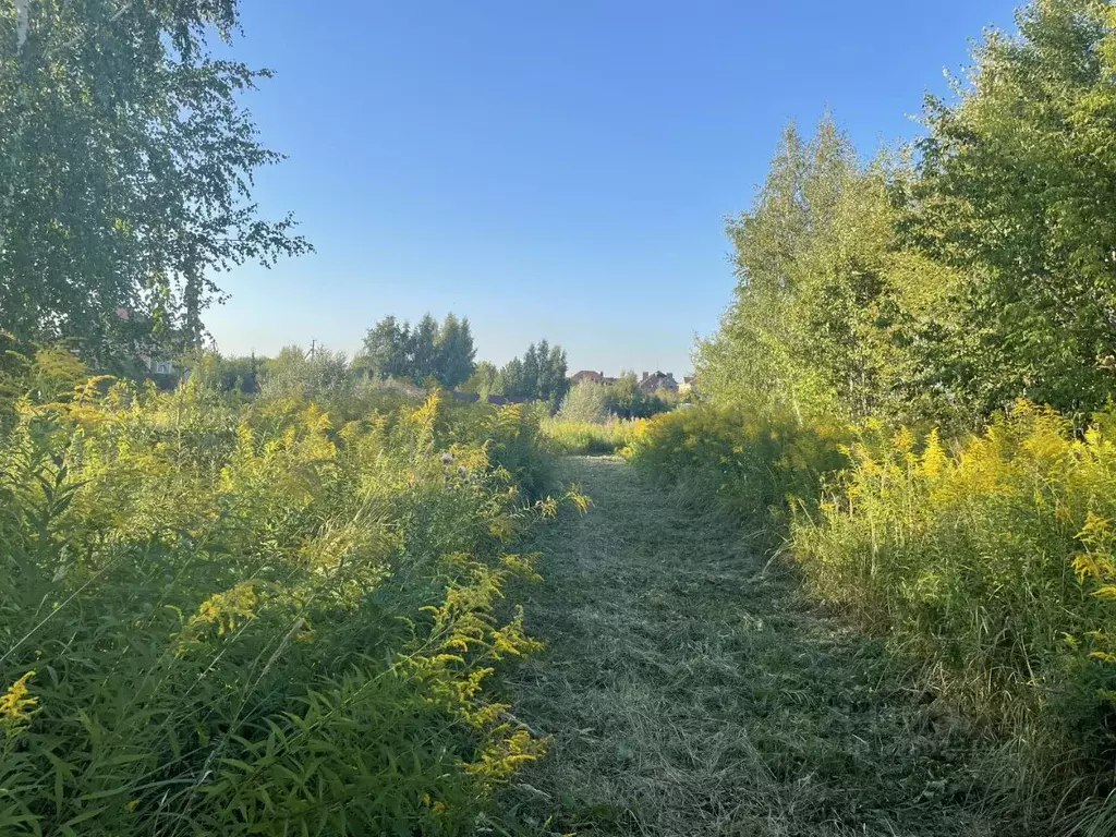 Участок в Нижегородская область, Нижний Новгород с. Большая Ельня, ул. ... - Фото 2