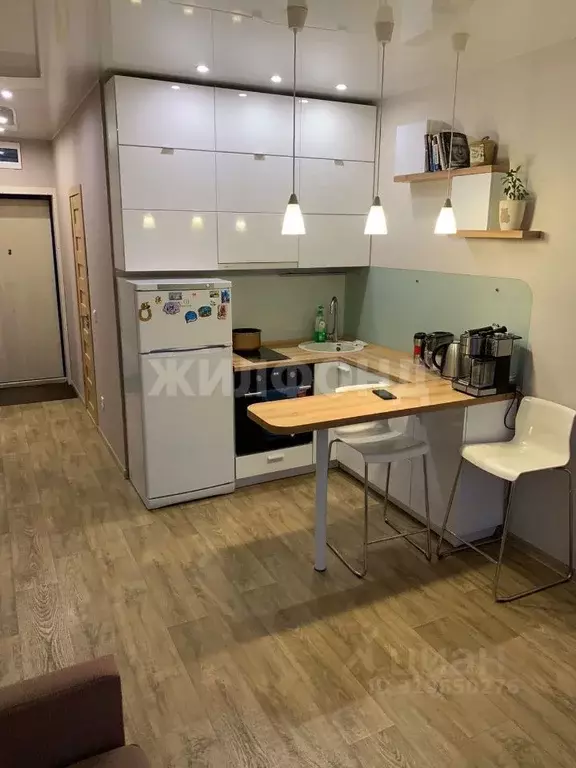 Студия Новосибирская область, Новосибирск ул. Костычева, 36 (24.0 м) - Фото 0