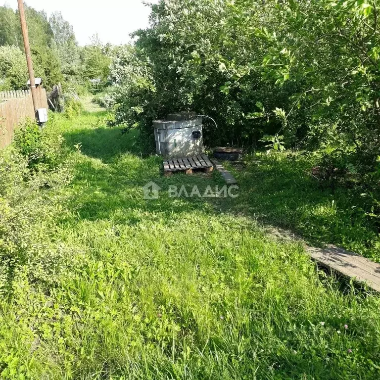 Участок в Владимирская область, Суздальский район, Новоалександровское ... - Фото 1