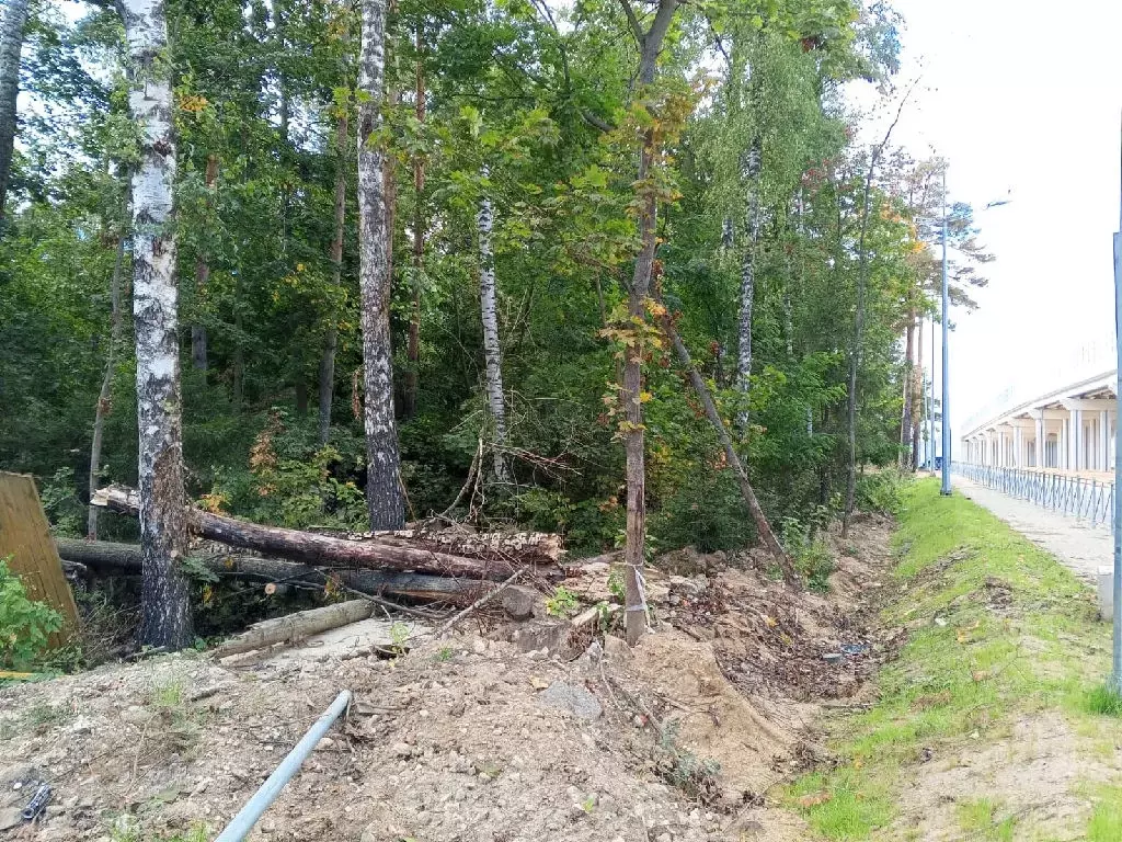 Продается участок в дп Черкизово - Фото 2