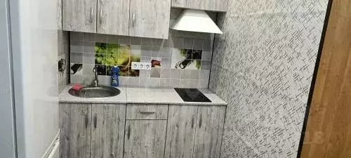 Студия Тульская область, Тула городской округ, с. Осиновая Гора, ... - Фото 1