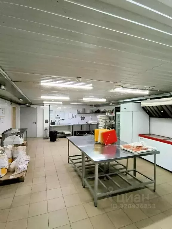 Помещение свободного назначения в Кемеровская область, Кемерово ... - Фото 1