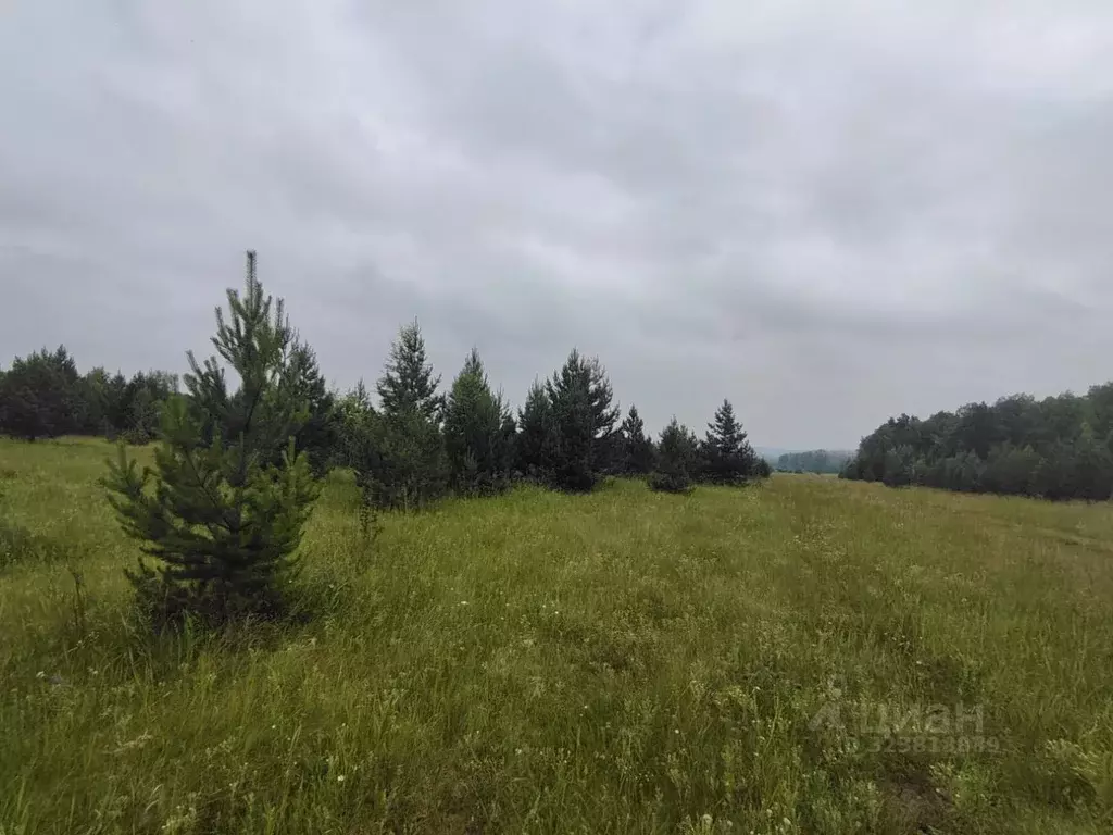 Участок в Челябинская область, Чебаркульский муниципальный округ, ... - Фото 1