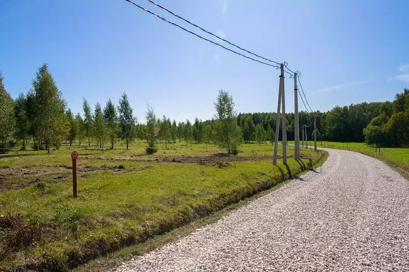 Участок в Тульская область, Заокский район, Демидовское муниципальное ... - Фото 2