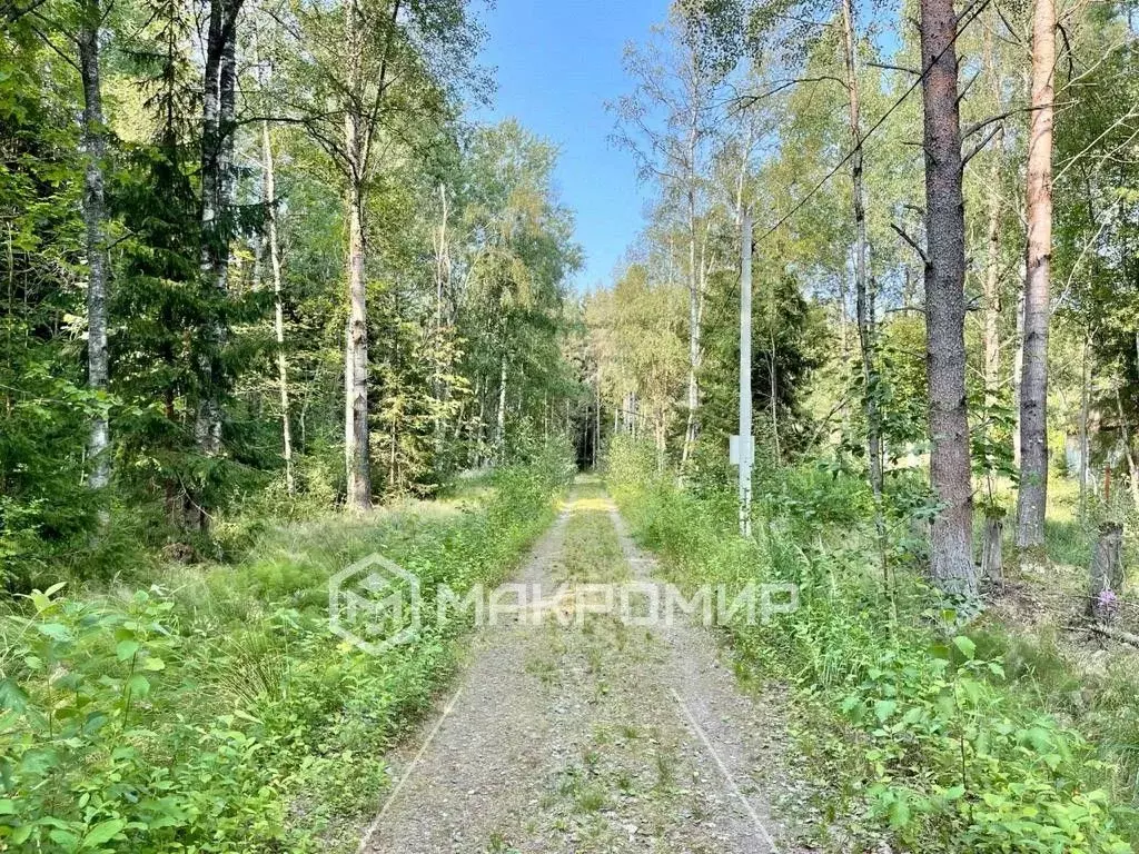 Участок в Санкт-Петербург пос. Солнечное, Вокзальная ул., 16Д (40.0 ... - Фото 1