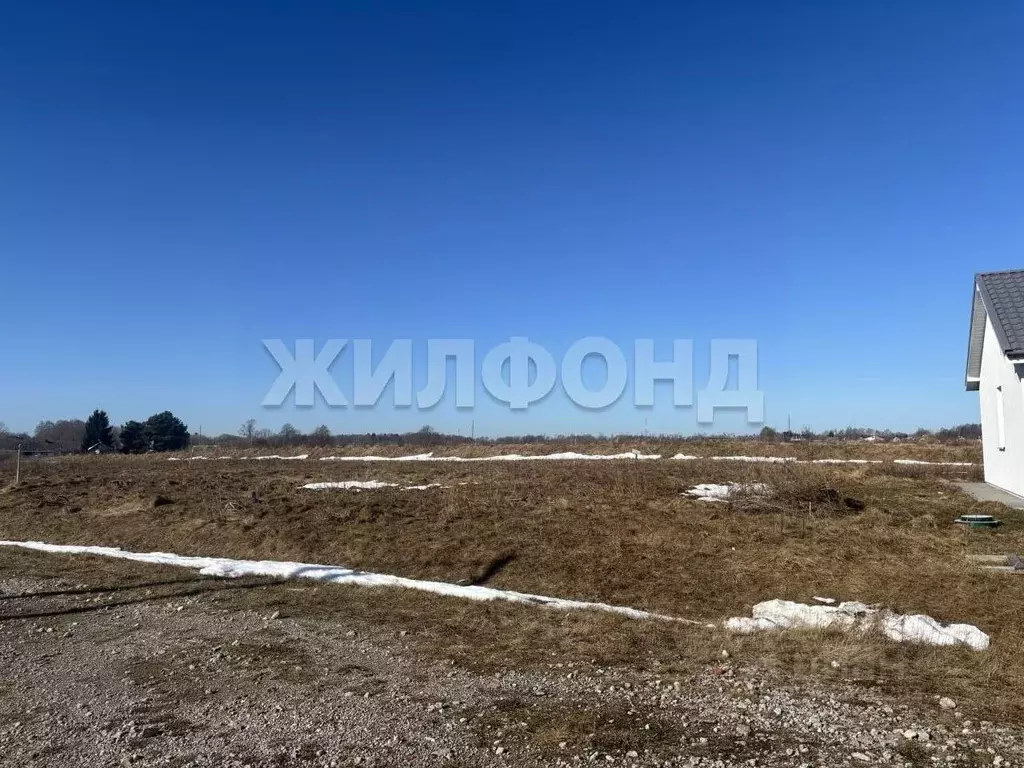 Участок в Калининградская область, Зеленоградский муниципальный округ, ... - Фото 1