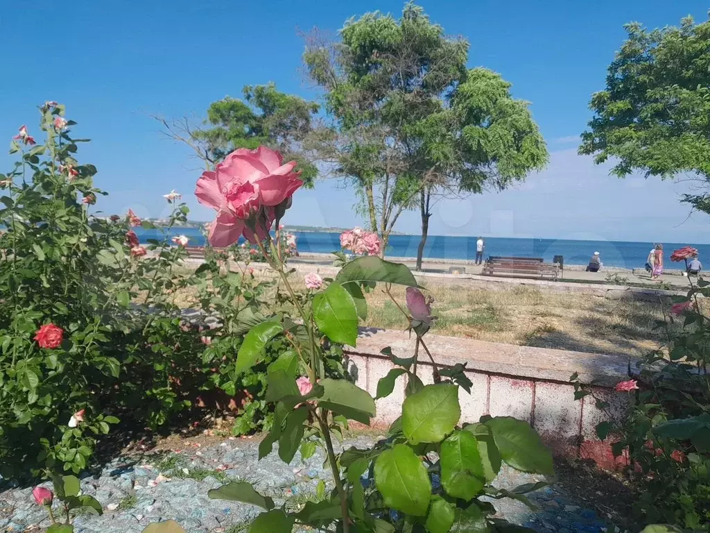 2-к. квартира, 35 м, 1/1 эт. - Фото 1