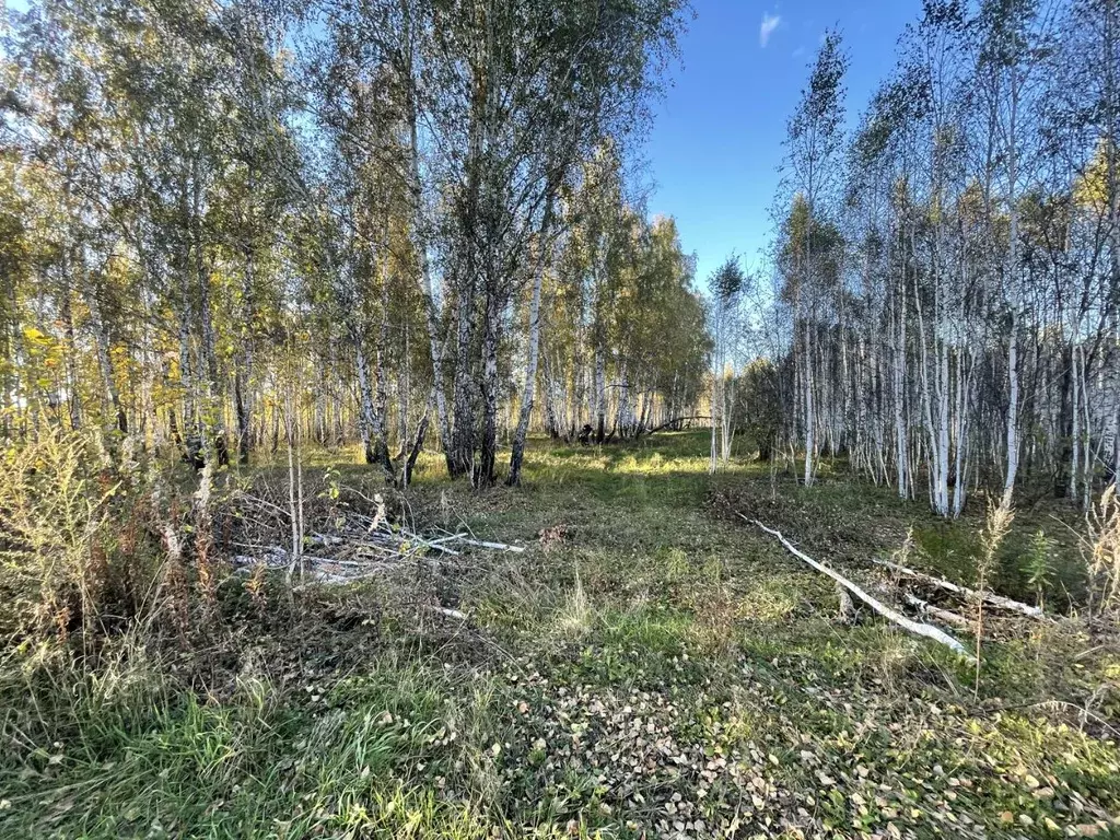 Участок в Челябинская область, Сосновский район, Кременкульское с/пос, ... - Фото 1