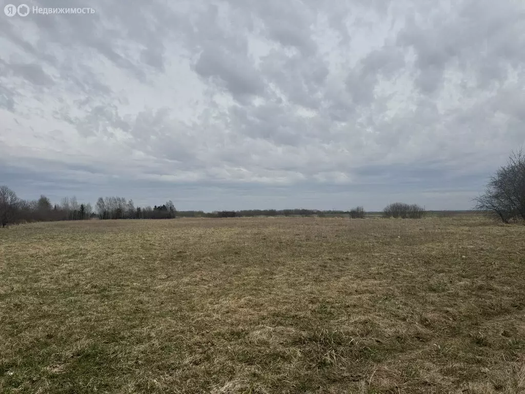 Участок в Калининградская область, Гурьевский муниципальный округ, ... - Фото 1
