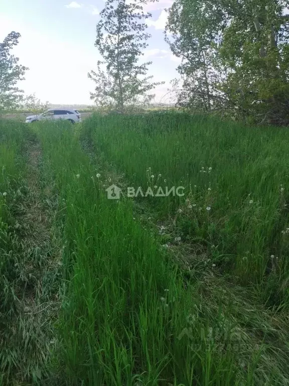 Участок в Башкортостан, Стерлитамакский район, Айгулевский сельсовет, ... - Фото 1
