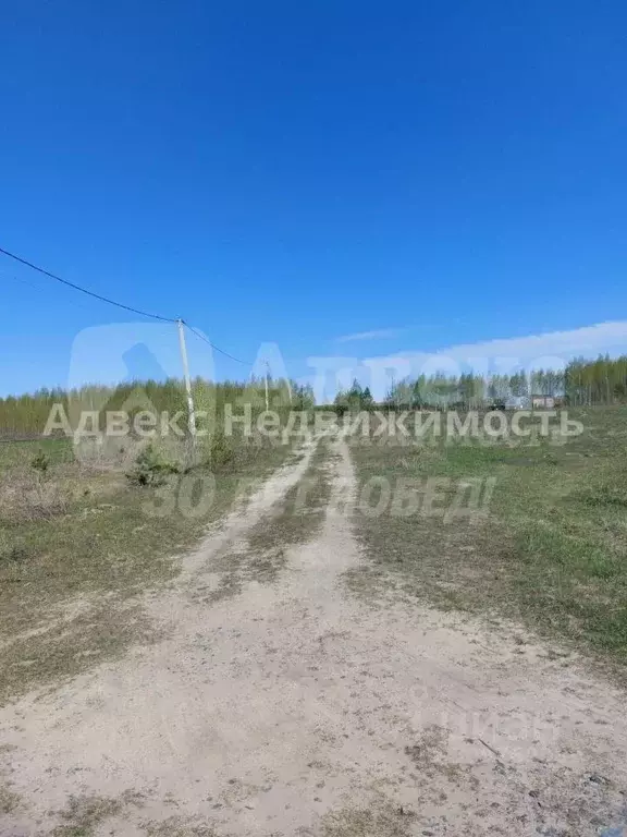 Участок в Тюменская область, Нижнетавдинский район, с. Иска ул. ... - Фото 1