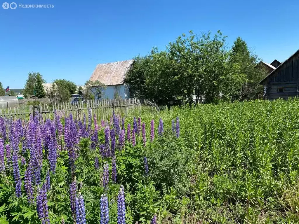 Дом в Кемеровский муниципальный округ, СНТ Электрон (10 м) - Фото 1