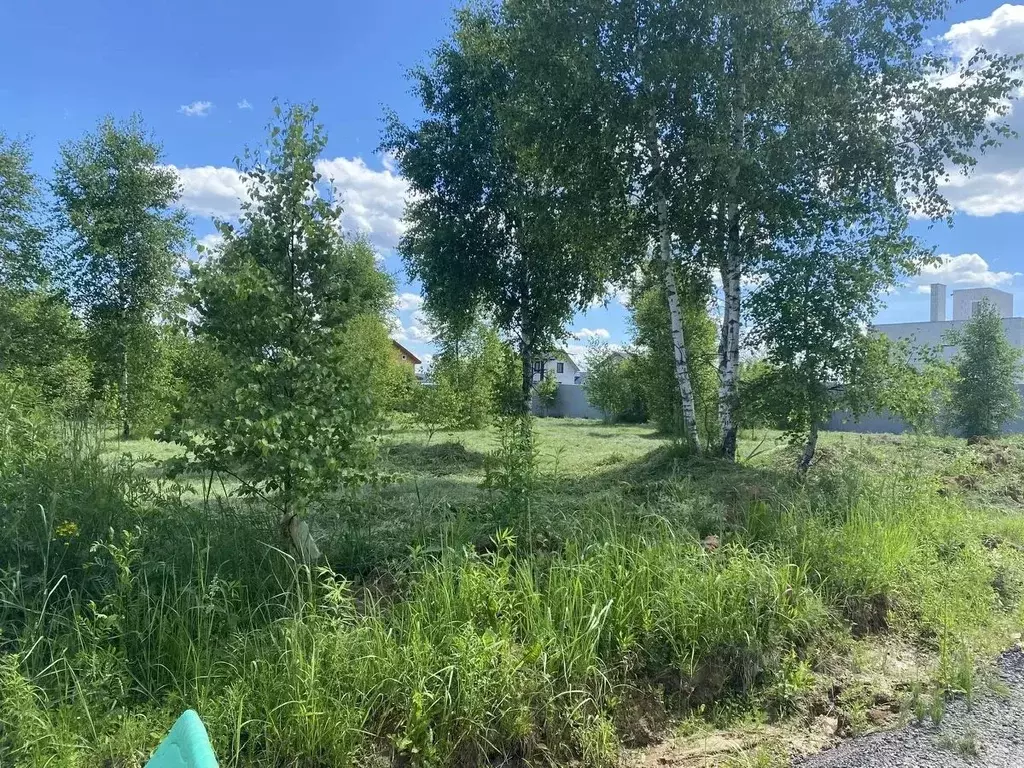 Участок в Московская область, Чехов муниципальный округ, с. Ивановское ... - Фото 1