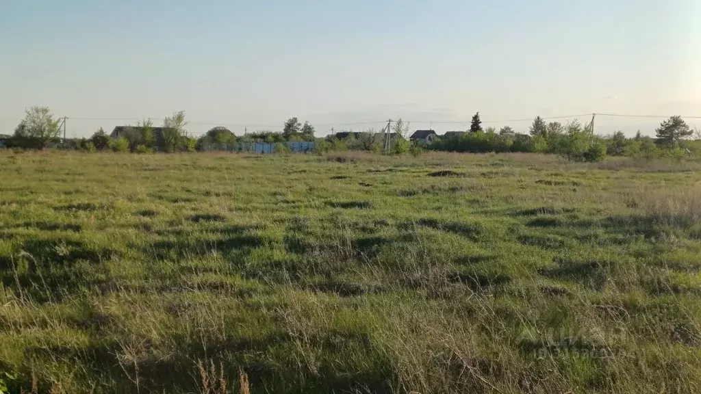Участок в Саратовская область, Воскресенский район, Елшанское ... - Фото 1