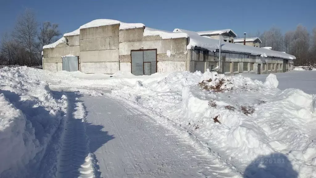 Производственное помещение в Рязанская область, Клепиковский ... - Фото 1