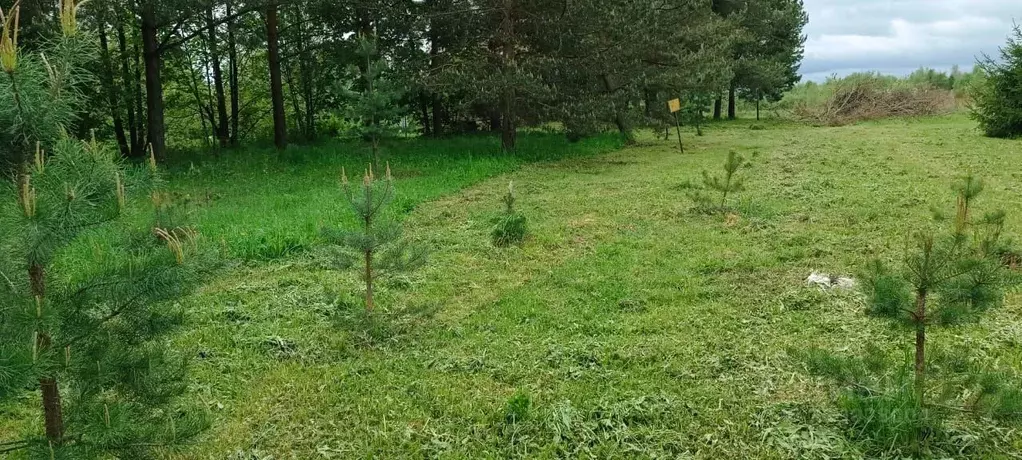 Участок в Московская область, Подольск городской округ, д. Лопаткино  ... - Фото 1