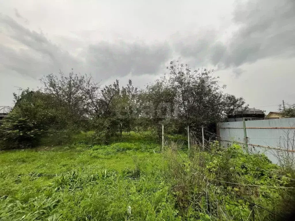 Участок в Воронежская область, Рамонский район, Новоживотинновское ... - Фото 2