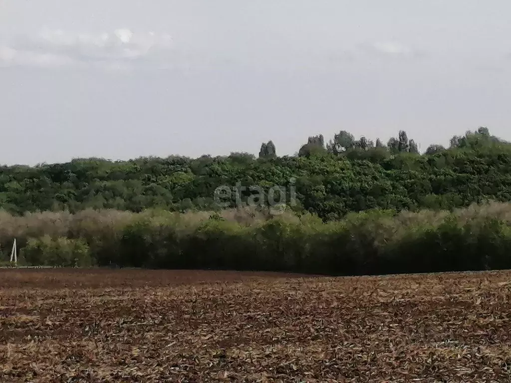 Дом в Саратовская область, Саратов Черемушка СНТ, ул. 1-я Гуселка, 15 ... - Фото 1
