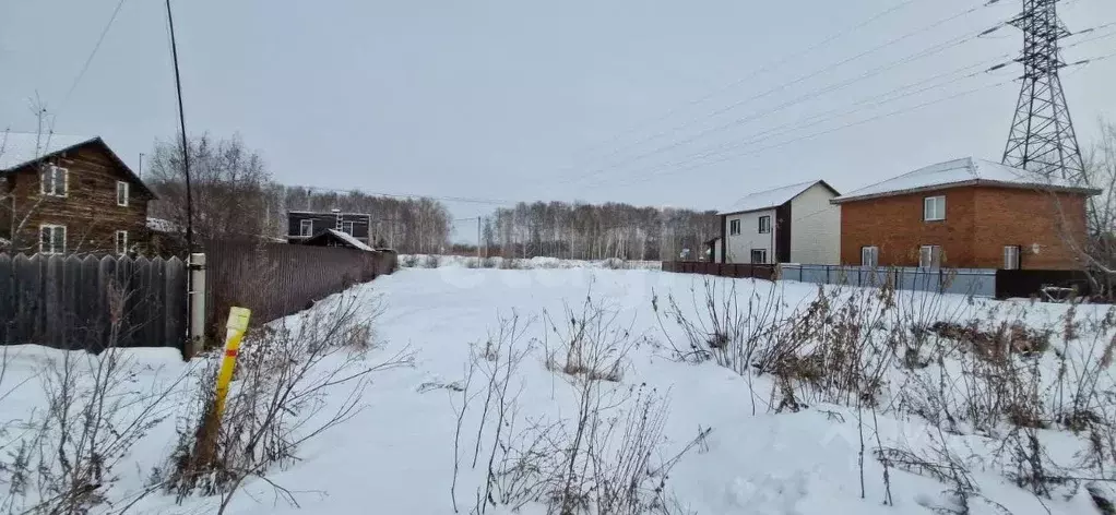 Участок в Новосибирская область, Новосибирский район, с. Толмачево ул. ... - Фото 1