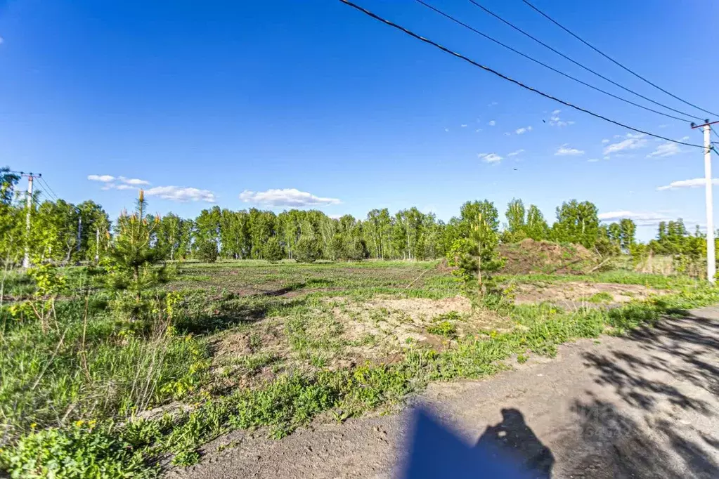 Участок в Новосибирская область, Бердск ул. Залесье (9.8 сот.) - Фото 1