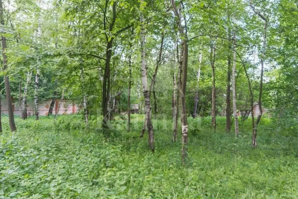 Участок в деревня Лызлово, 18 (55 м) - Фото 0