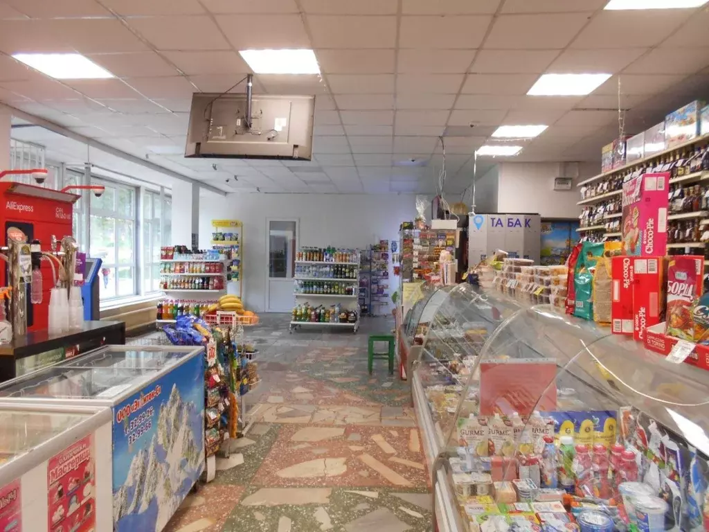 Торговая площадь в Саратовская область, Саратов Южно-Зеленая ул., 2/12 ... - Фото 1