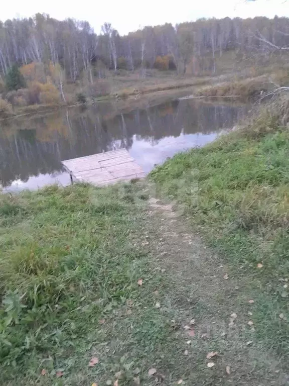 Участок в Новосибирская область, Новосибирский район, Барышевский ... - Фото 2