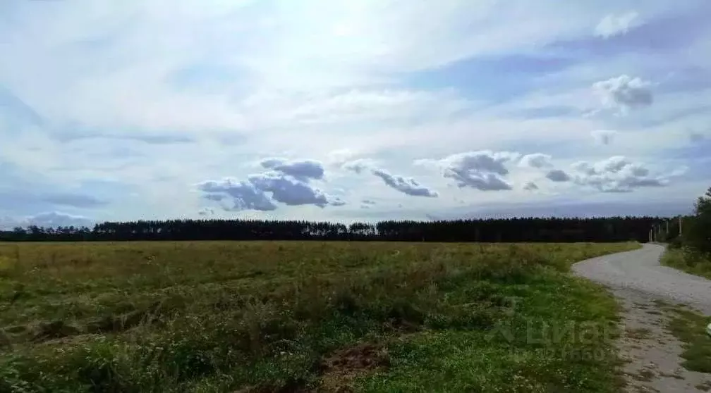 Участок в Владимирская область, Киржачский муниципальный округ, д. ... - Фото 1