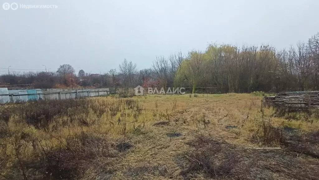 Участок в Белгородская область, Яковлевский муниципальный округ, ... - Фото 2