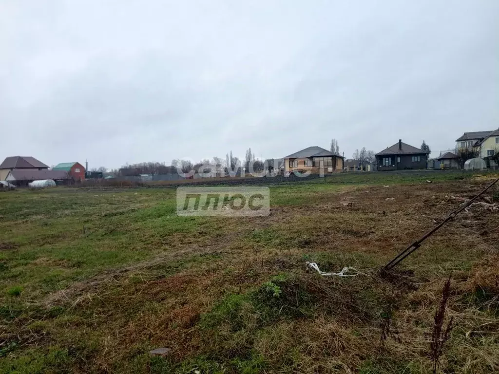 Участок в Курская область, Фатеж Никитинская ул. (16.0 сот.) - Фото 1