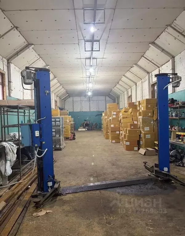 Помещение свободного назначения в Московская область, Чехов ... - Фото 1