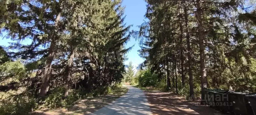 3-к кв. Крым, Бахчисарай городское поселение, Научный пгт 20 (58.0 м) - Фото 1