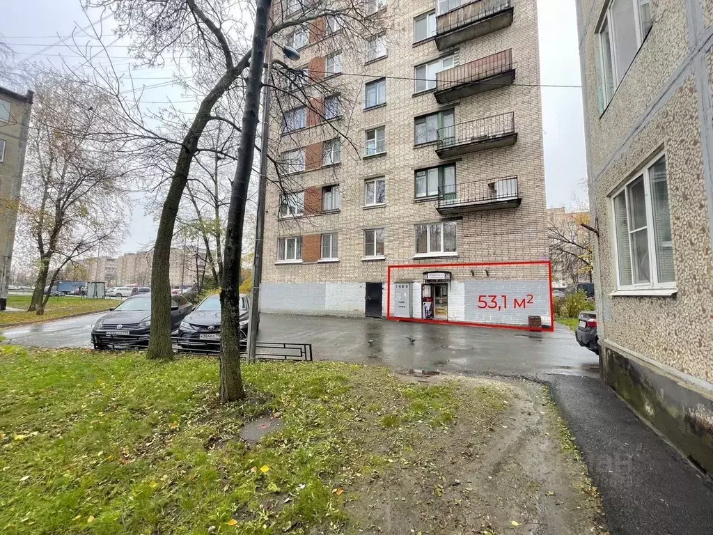 Помещение свободного назначения в Санкт-Петербург Народная ул., 64 (53 ... - Фото 1