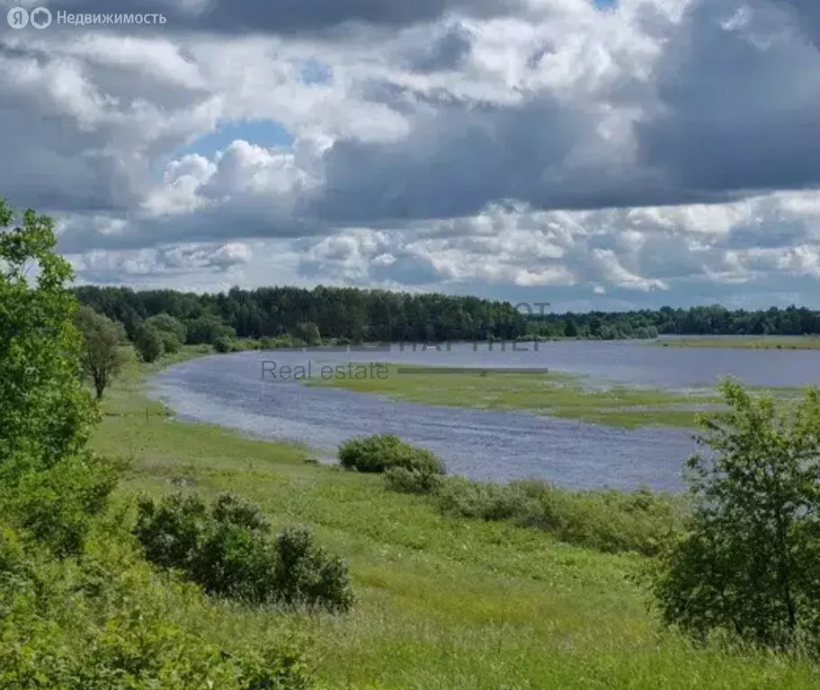 Участок в Новгородская область, Шимское городское поселение, деревня ... - Фото 1