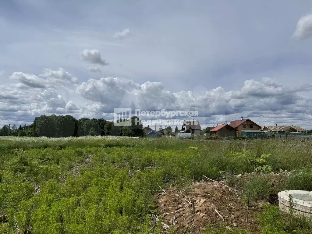 Участок 15,5 сот. (ИЖС) - Фото 0