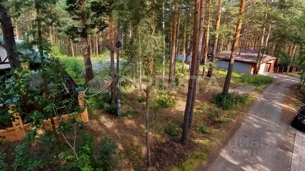 Участок в Тюменская область, Тюменский район, д. Черная Речка Северная ... - Фото 1