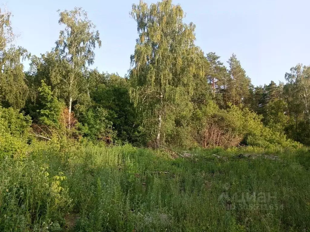 Участок в Ульяновская область, Чердаклинский район, Мирновское с/пос, ... - Фото 1